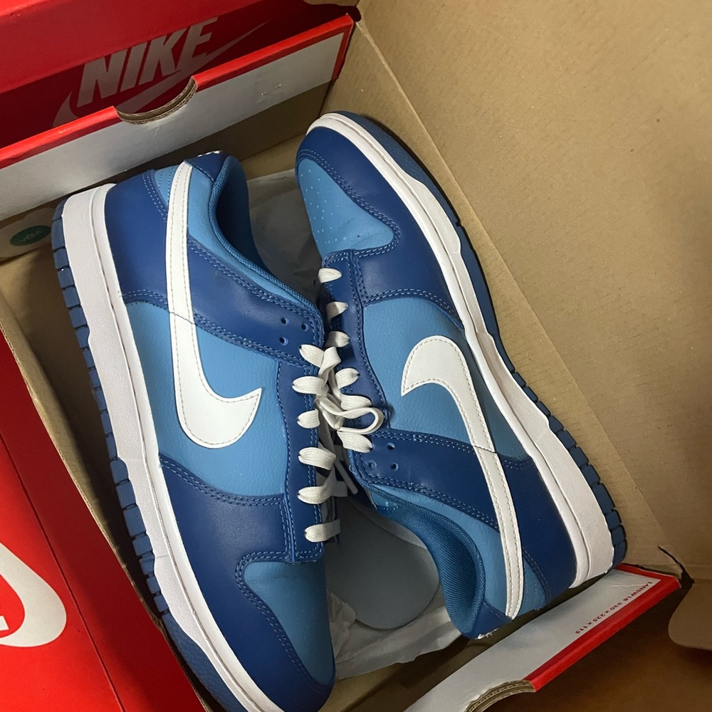 Nike dunks